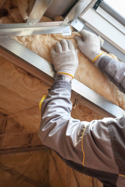 Best Eco-Friendly Insulation in Falconer, NY